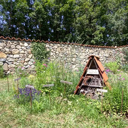 Avec Jacuzzi, Sauna, Wi-fi Et Jardin Privatif - Fr-1-496-52 Holiday home